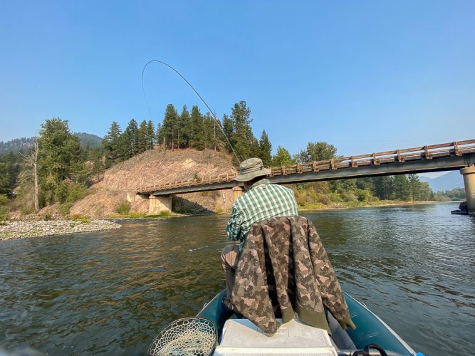 Mark hooked up first thing in the morning - Missoula Fall Fishing