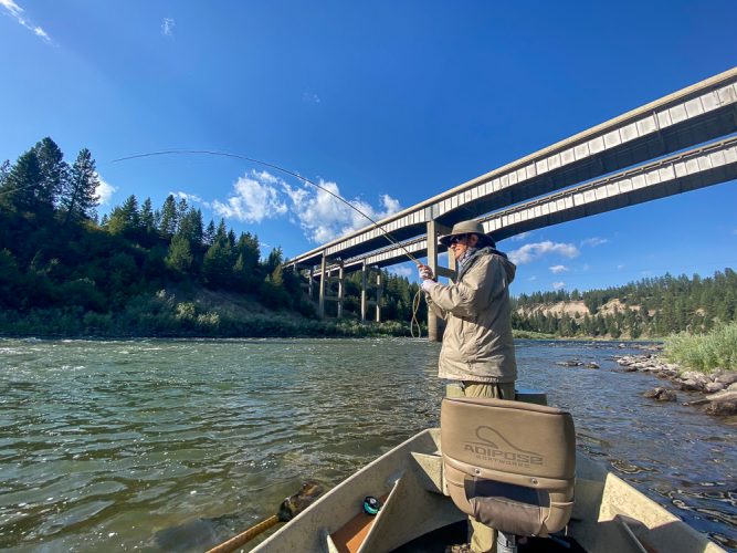 Alan hooked up to strong fish- Clarkfork August Fishing