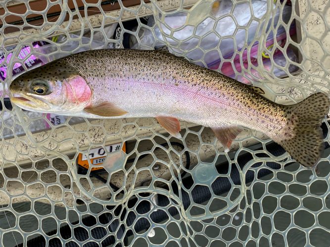 Awesome morning views on the Blackfoot - Missoula Fall Fishing