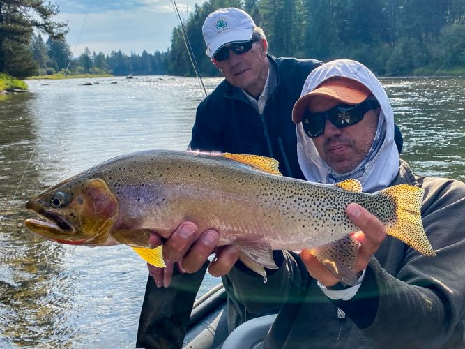 Dan with a stud cutthroat - Missoula Fall Fishing