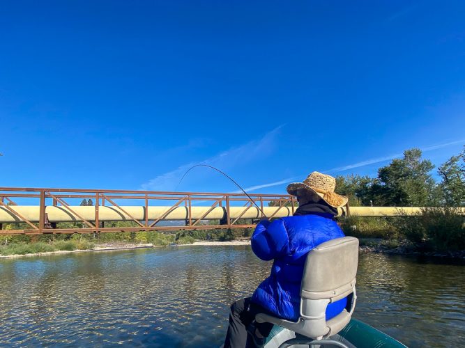 Mrs. B hooked up early - Missoula Fall Fishing