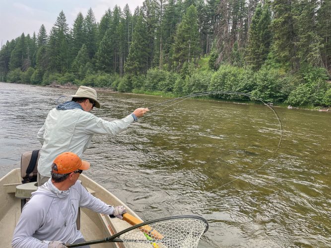 Jeff with some fancy rod work and trout on the line - July Missoula Fishing Trips