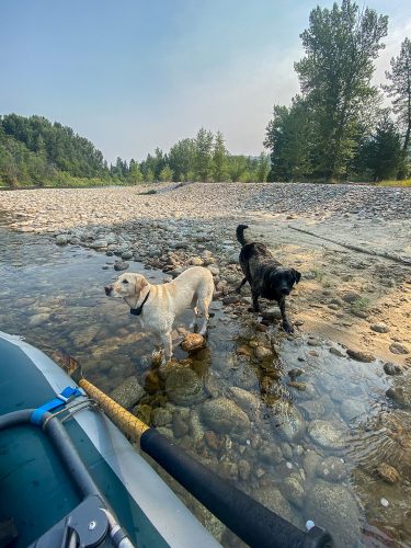 Grace and Molly doing their thing - Missoula August Fishing