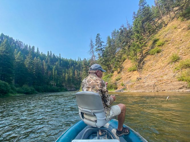 Dick with a jumping cutthroat - Blackfoot River Early Morning Fishing