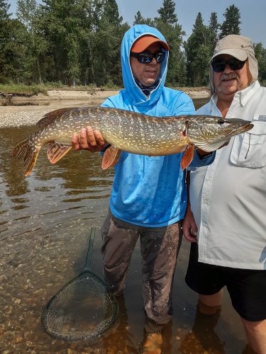 Not bad for Buck's first pike on fly - July Missoula Fishing Trips