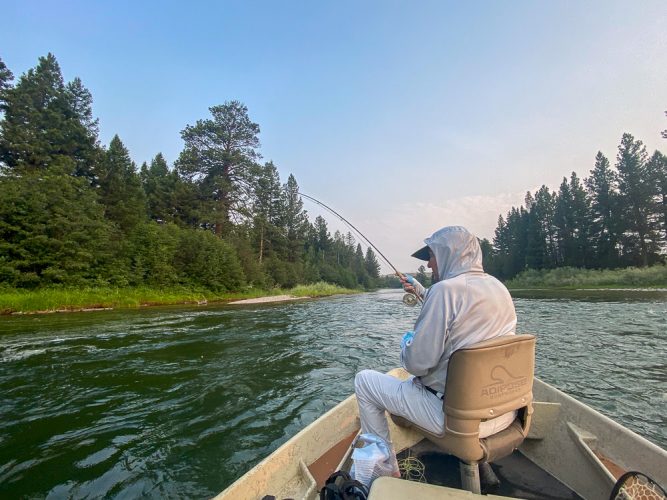 Bob hooked up in Munchmore - Blackfoot River Early Morning Fishing