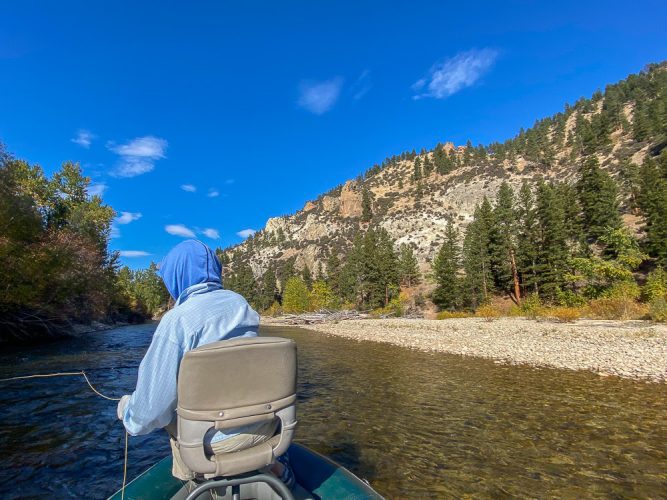 Trout live in beautiful places - Montana Fall Fishing Fun