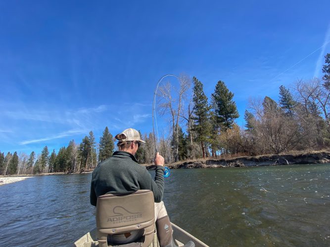 Dave hooked up on a dry fly - Montana Flyfishing 2022
