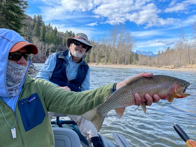Jeff with a fat cutthroat from the back seat - Spring Fishing Montana 2022