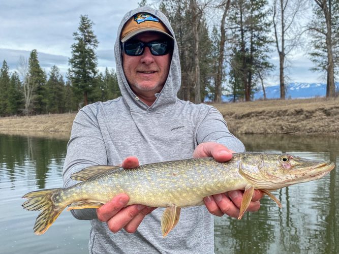 Randy with his first northern pike on a fly rod - Montana Flyfishing 2022