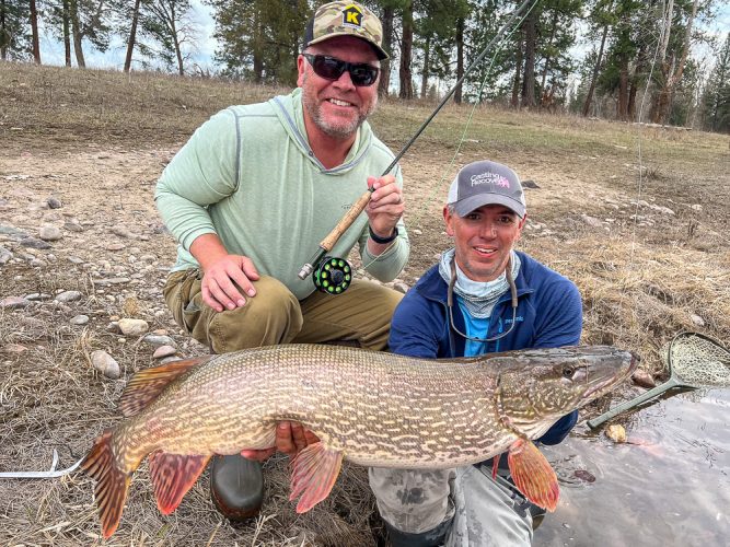 Mark found a true river monster today - Montana Flyfishing 2022