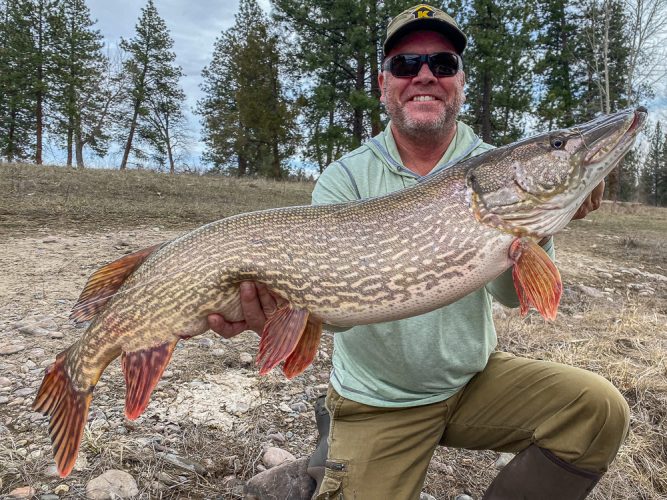 A fish like that deserves a second look - Montana Flyfishing 2022