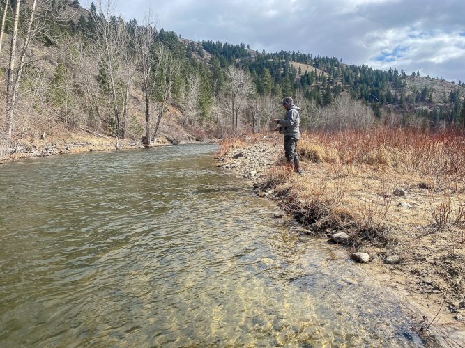 Scott out wading a side channel- Spring Fishing Montana 2022