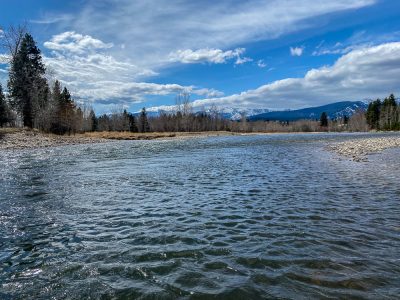 Spring Fishing Montana 2022