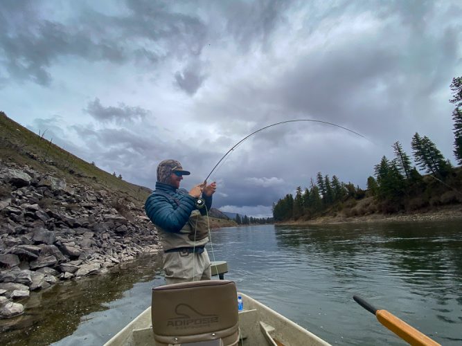 Bradley bent on another dry fly fish- Flyfishing Montana 2022