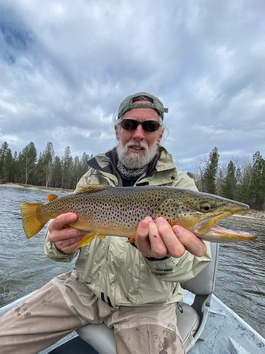 Dave with a great dry fly brown - Spring Fishing Montana 2022