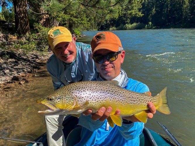 Jim got the big brown trend going with this 20" beauty in the morning- Blackfoot River Fishing 2022