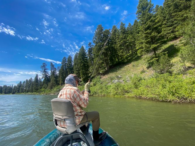 Bob hooked up on the Blackfoot- Blackfoot River Fishing 2022