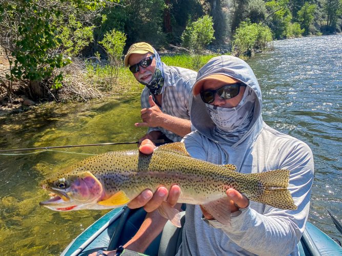 Jeff with a thick cuttbow on the dry fly - Bitterroot River Fishing 2022