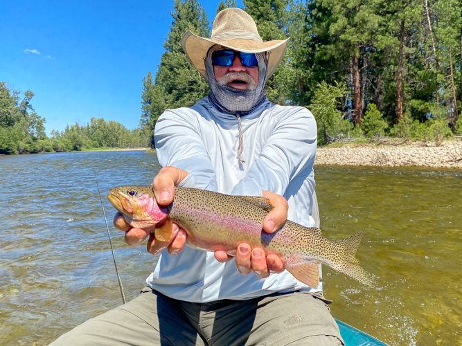 Single dry fly from start to finish and some great trout in the net - Missoula Fishing 2022