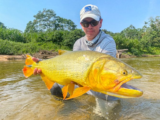 The last thing a sabalo ever sees - Bolivia Golden Dorado Fishing