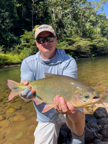 Rich with a big, hard fighting yatorana - Bolivia Golden Dorado Fishing