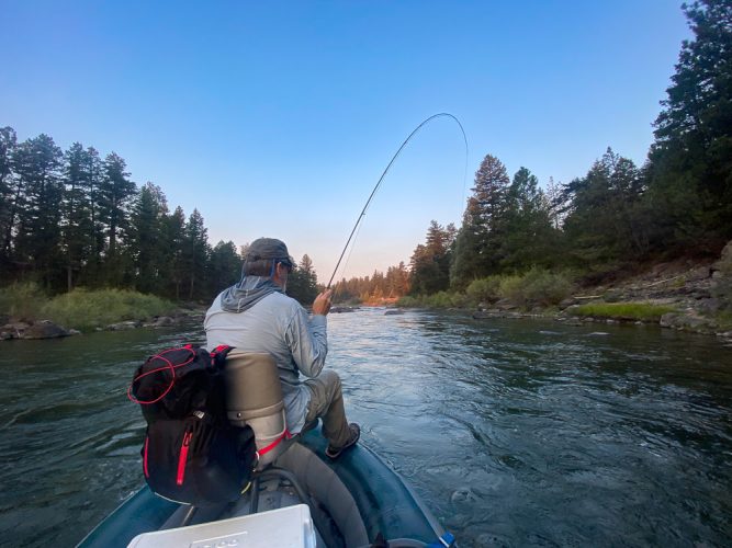 Jeff hooked up at first light - Blackfoot River Fly Fishing Guide