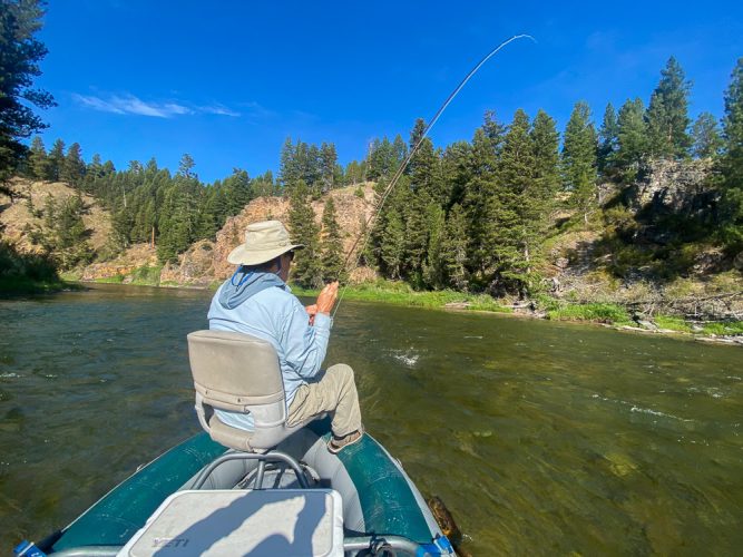 Jeff hooked up in the canyon - Blackfoot River Fly Fishing