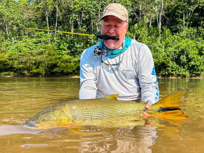 Joel stuck a gorgeous fish on a big streamer.  He also accomplished what may be a first ever......He landed a 15 pound dorado on a tiny ice fishing rod (2nd photo) - Bolivia Golden Dorado Fishing