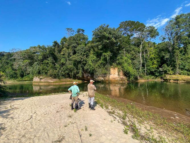 The Secure River is spectacular and the jungle environment absolutely mesmerizing  - Bolivia Golden Dorado Fishing