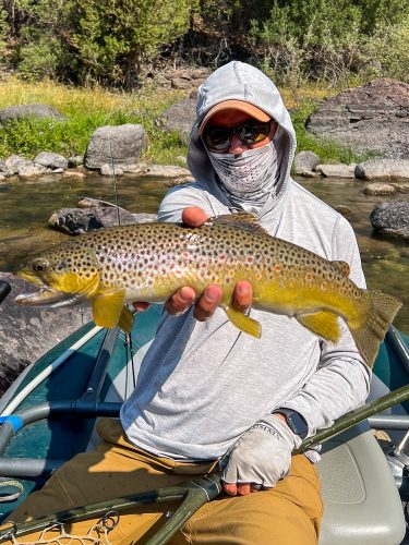 Gorgeous 19" brown that came out of skinny water - Blackfoot River Fly Fishing Guide