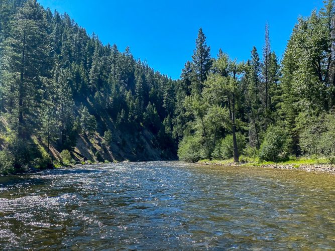 Beautiful day on the West Fork - Montana Flyfishing 2022