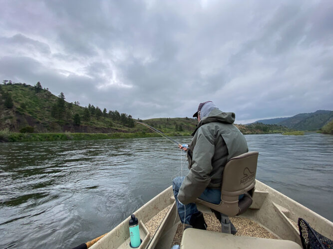 Bob hooked up under moody skies - Missouri River Trout Fishing