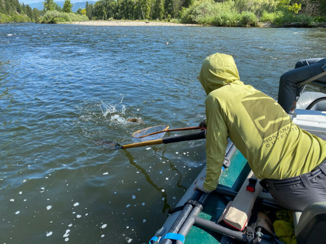 Ready with the net - Full Moon Fishing in Montana 