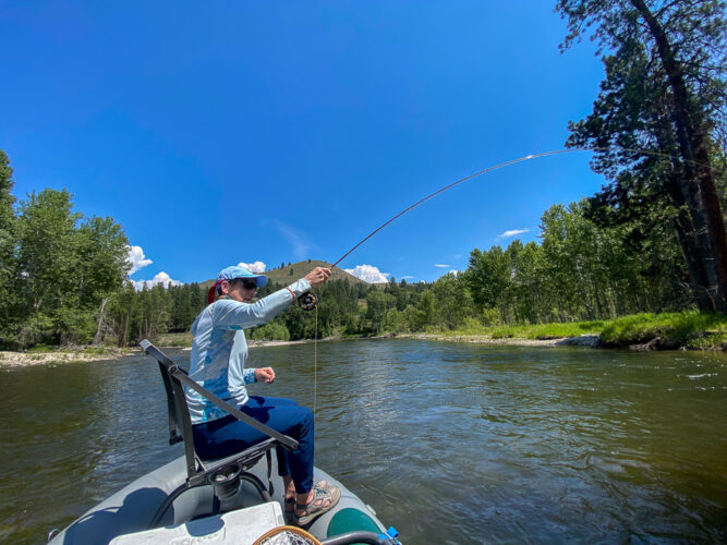 Sheila was hooked up on a regular basis - Full Moon Fishing in Montana 