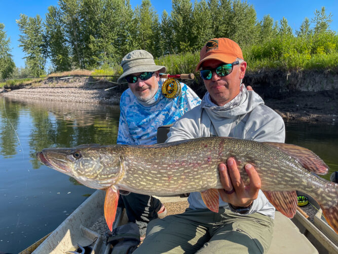 It turned out to be a dandy - Full Moon Fishing in Montana 