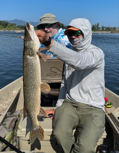 We had steady action throughout the day - Full Moon Fishing in Montana 