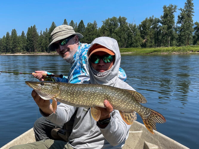 We had steady action throughout the day - Full Moon Fishing in Montana 