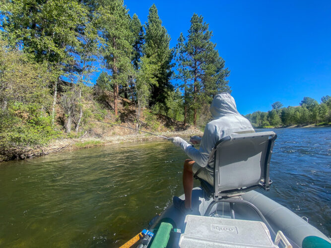 Jim was hooked up early and often - Hoot Owl Trout Fishing