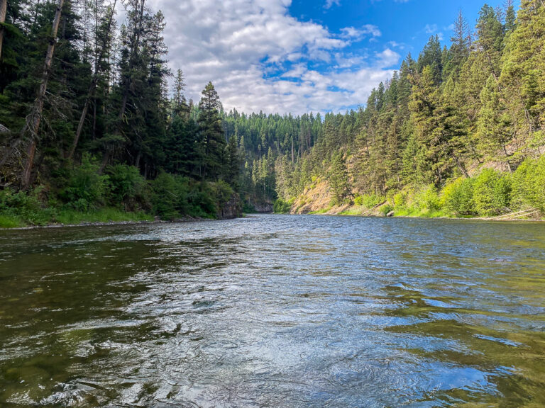 Montana Trout Outfitters - World Class Fly Fishing