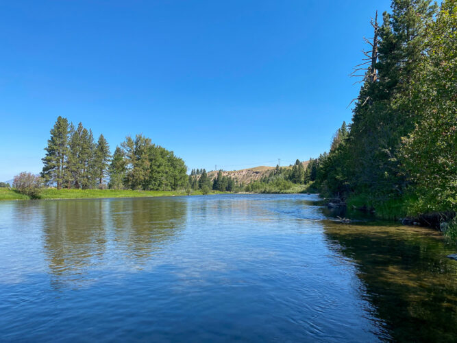 The view from cutthroat alley - Spruce Moth Hatch Fishing