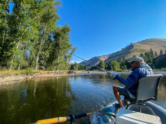 Jim tight to a solid trout - Spruce Moth Hatch Fishing