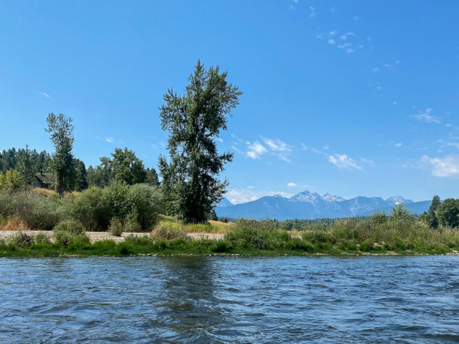 Clear skies and nice views in the Bitterroot - Spruce Moth Hatch Fishing