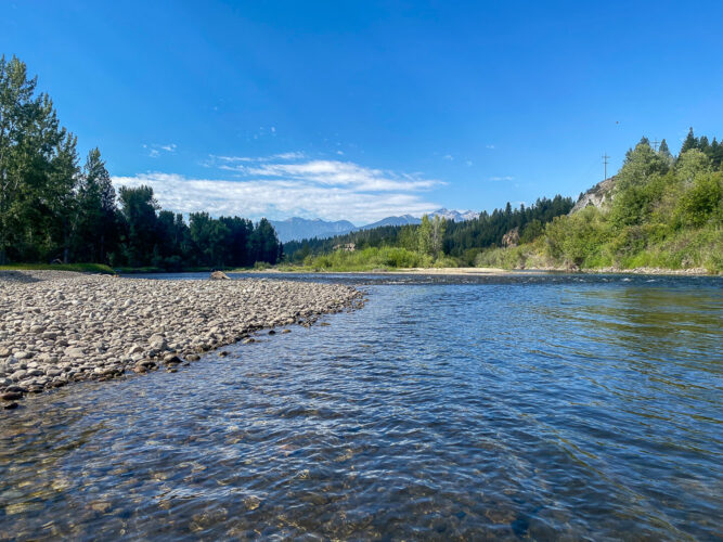 Pretty view from the upper Bitterrooot - Spruce Moth Hatch Fishing