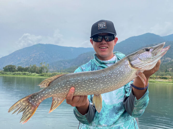 A pair of nice pike for Thomas - Spruce Moth Hatch Fishing