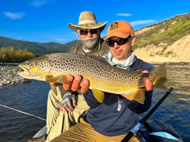 Then Chris connected with the biggest brown trout I've seen in a while - Early Morning Fly Fishing