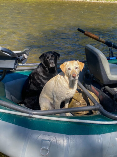 These two love their boat rides - August Fly Fishing