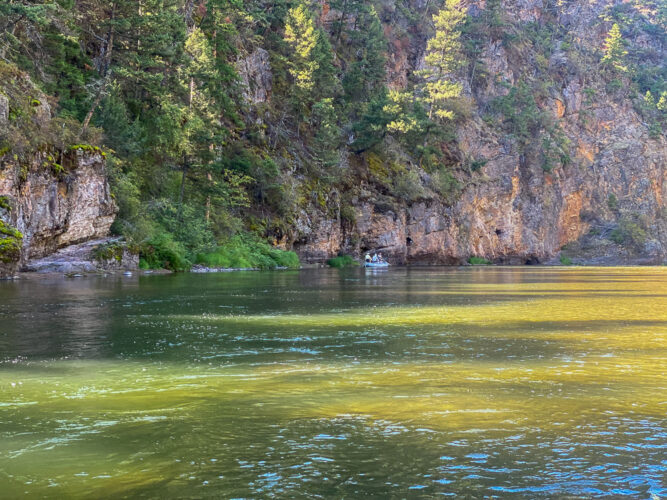 Montana Fall Fishing Report