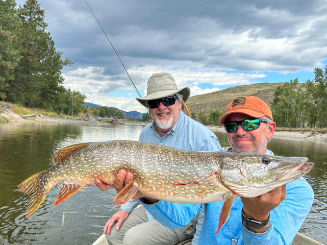 Jeff was all smiles with his first pike on fly - Montana Fall Fishing