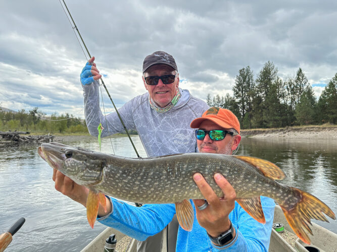 5 minutes later and Jim had his first pike on fly - Montana Fall Fishing